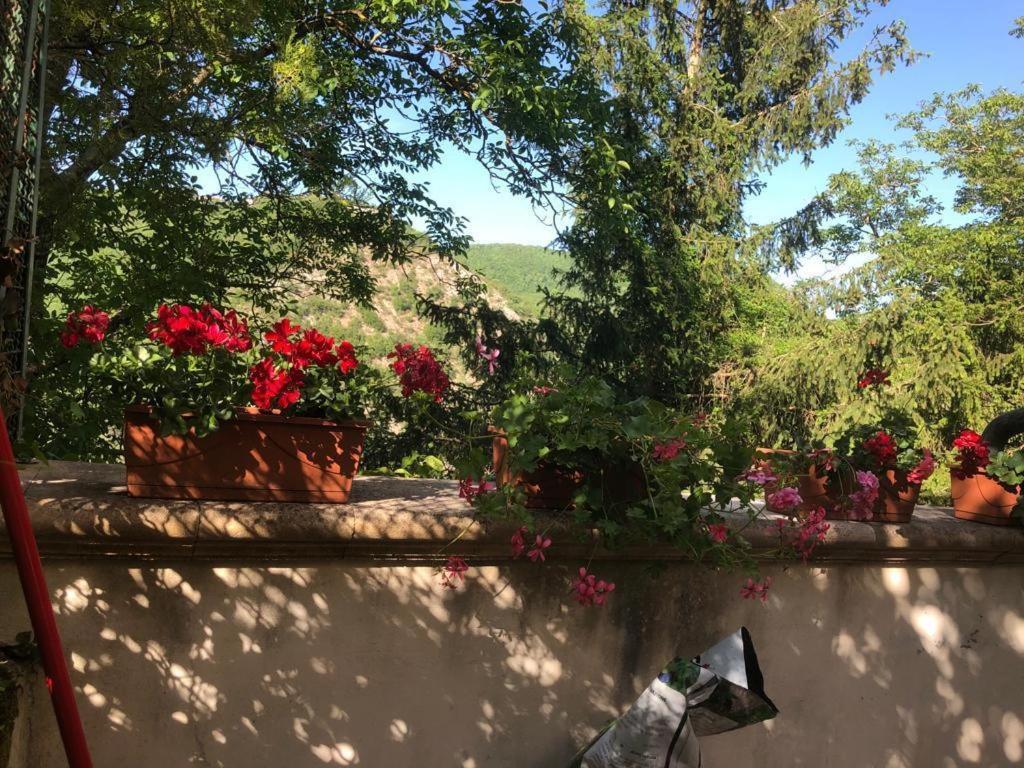 Bed and Breakfast Le Fate Umbria à Sellano Extérieur photo